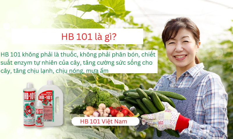 Add A Little Bit Of Body Text