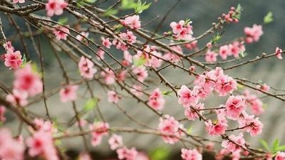 1612512234 620 Thumbnail Width640height480 Schema Article